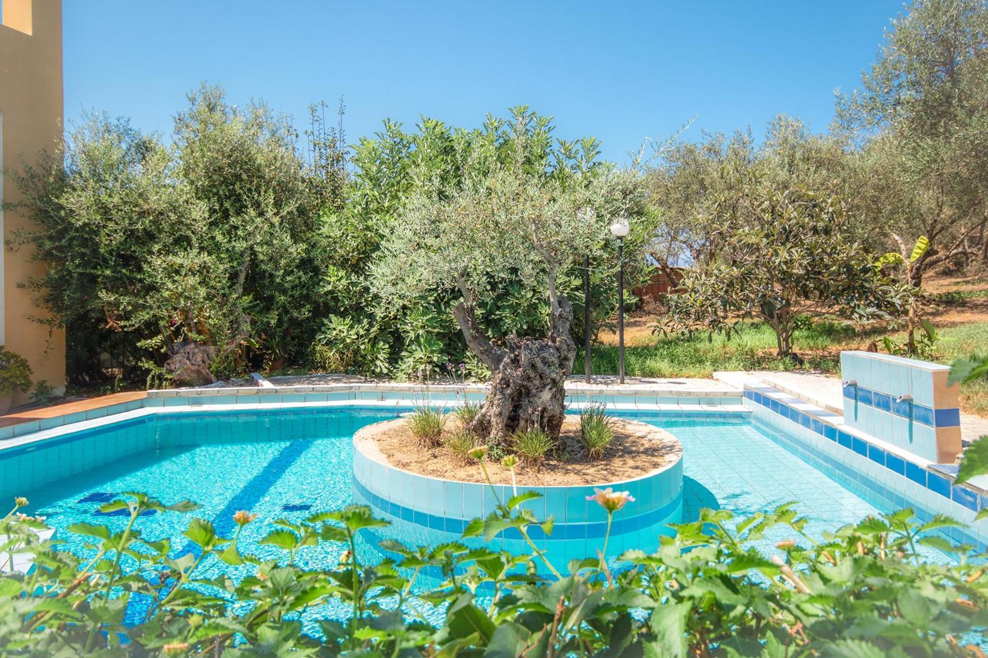 Vila Olive Farm Agia Marina Exteriér fotografie